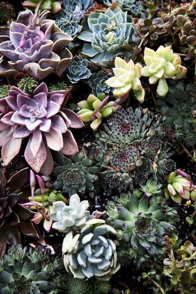    ,      ,        .   ...