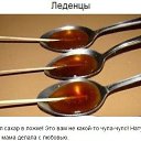 ���� �����, ������, 52 ���� - ��������� 30 ��� 2015 � ������ ������ ��������