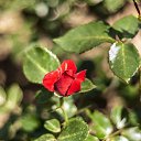 ���� Sergeyip, ������, 64 ���� - ��������� 14 ���� 2015 � ������ ���� ����������