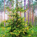 ���� Milolika, ������� - ��������� 19 ������� 2015 � ������ ���� ���... � ������ �����.))�