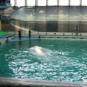 ���� ������, �����-���������, 70 ��� - ��������� 22 �������� 2015 � ������ �� ����������� �����-����������