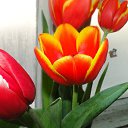 ���� Feruza, ������ - ��������� 20 ��� 2015 � ������ ���� ����������