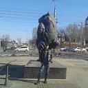 ���� ������, ����������, 41 ��� - ��������� 5 ��� 2015 � ������ ���� ����������