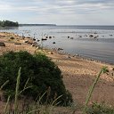 ���� �������, �����-���������, 55 ��� - ��������� 1 ���� 2015 � ������ ��������� ��������� �����