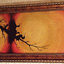  ,  , 61  -  20  2015    