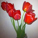 ���� Akulina Mikulishna, �����-��������� - ��������� 20 ���� 2015 � ������ �������