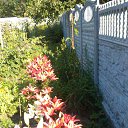 ���� Natali, ������ - ��������� 2 ���� 2015 � ������ ���� �������� 2015�