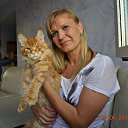 ���� �������, �����-���������, 50 ��� - ��������� 12 ���� 2015 � ������ ���� ����������