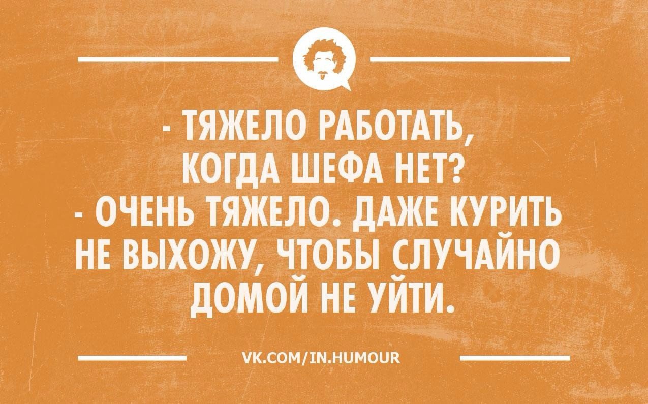 Полностью потеряно. Юмор интеллектуальный тонкий в картинках. Шутки для интеллектуалов. Юмор интеллектуальный тонкий. Смешные высказывания в картинках интеллектуальные.