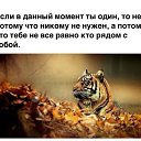 ���� �����������, ���������, 68 ��� - ��������� 18 ��� 2015 � ������ ������ ��������