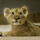 ���� ������, ����, 26 ��� - ��������� 9 �������� 2015 � ������ ���� ����������