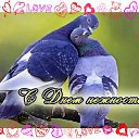 ���� Keti, �������, 54 ���� - ��������� 27 ���� 2015 � ������ �������� ������ �� ��������!!!�