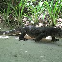 ��� ���� �� ������� ���� ����������