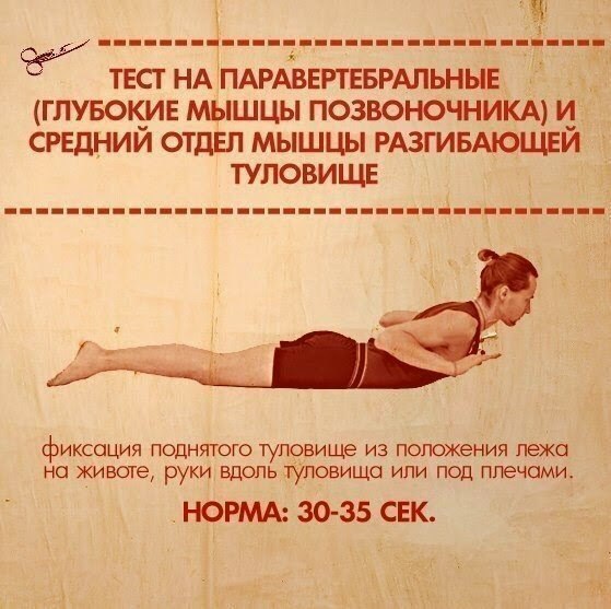В вашей практике помимо упражнений на вытяжение должны обязательно присутствовать и силовые асаны. - 8
