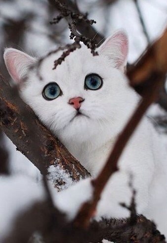   - 25  2015  22:15 - 5