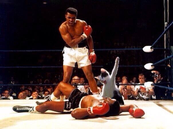       - 21  2015  04:02 - 8