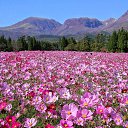  ********,  -  14  2015    