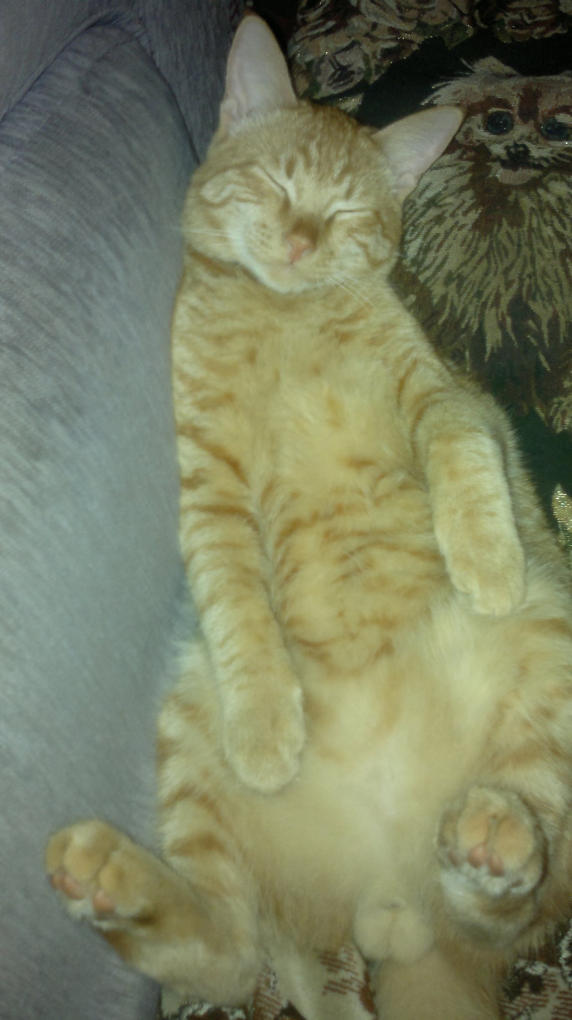 � ��� ������� ����� � �� ���� �����!!!