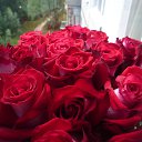 ���� ���, �������� - ��������� 30 ���� 2015 � ������ ���� ����������
