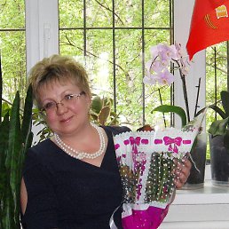 ��������, ��������, 56 ���