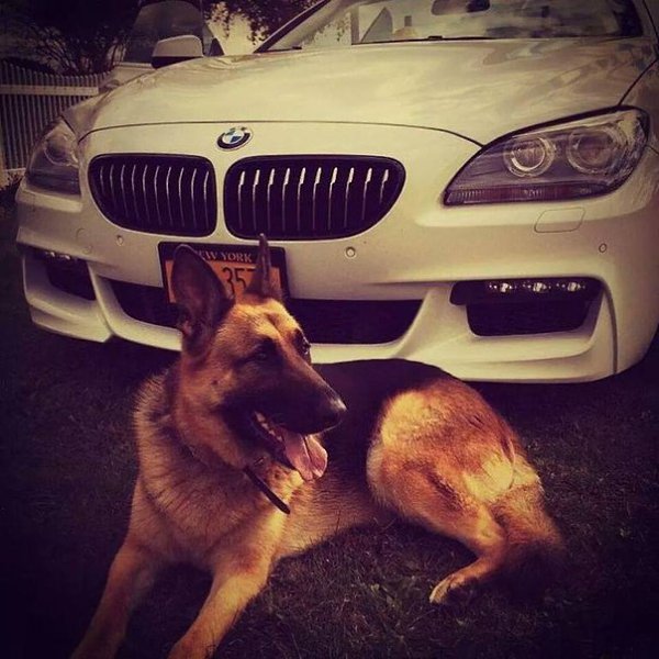 ��� | BMW - 14 ������� 2015 � 15:13