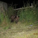 ���� ������, ������-��-����, 48 ��� - ��������� 31 ��� 2015