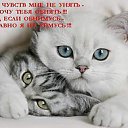 ���� ��������, ������ - ��������� 23 ������� 2015