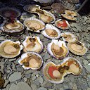 ���� ���������, �����������, 53 ���� - ��������� 13 ������� 2015