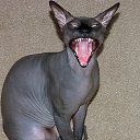 ���� �������, ��������, 47 ��� - ��������� 21 �������� 2015 � ������ ������ ��������