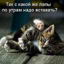  ,  -  28  2015    