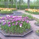 ���� ���������, �����-���������, 69 ��� - ��������� 4 ���� 2015 � ������ ��������� 24.05.2015�