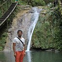  , , 38  -  13  2015     09.2015