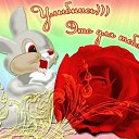 ���� ���������, ��������� - ��������� 2 ���� 2015 � ������ �������� ��������