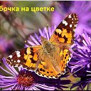 ���� �����, �������������, 80 ��� - ��������� 4 ������� 2015 � ������ ����� ��������
