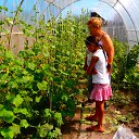 ���� ����, �������, 71 ��� - ��������� 8 ������� 2015 � ������ ���� ����������