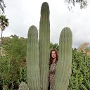 ������ �� ������� ���� ����������