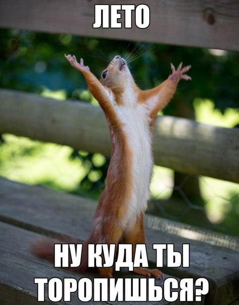   :-) - 6  2015  19:01