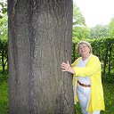 ���� ��������, ������ - ��������� 28 ��� 2015 � ������ ���� ����������