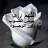 ���� Amira, �������������� - ��������� 19 ���� 2015
