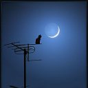 ���� �����, �����, 48 ��� - ��������� 7 ������� 2015 � ������ �4�