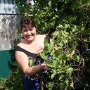 ���� �����, ����-������� - ��������� 11 �������� 2015 � ������ ���� ����������