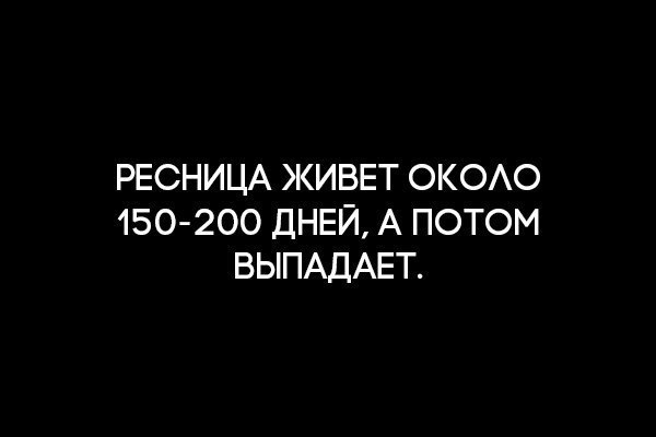BEST | , ,  - 13  2015  01:01 - 3