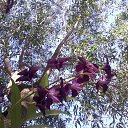    -  ,  -  31  2015   .  2015.  .  6-.