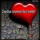���� ����, ������, 46 ��� - ��������� 8 �������� 2015