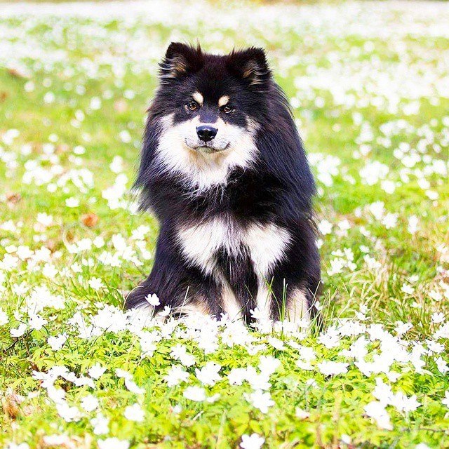   - 22  2015  14:05 - 2