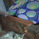 ���� ������� 89835284341, ����, 48 ��� - ��������� 27 ������ 2015 � ������ ���� ����������