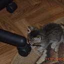 ���� Pavel2167, ����, 58 ��� - ��������� 21 ���� 2015 � ������ ���� ��������