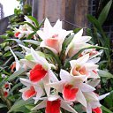 ���� �������, ������ - ��������� 20 ������� 2015 � ������ ������ ��������