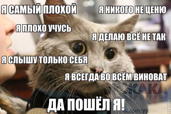 �������� ������ � ������ - 3 ���� 2015 � 18:20