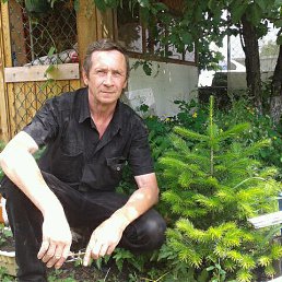 �������, ���, 67 ���